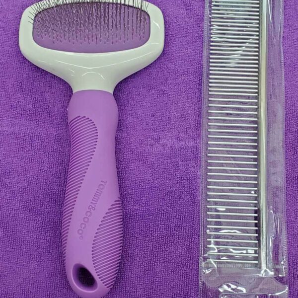 Brush and Comb Set